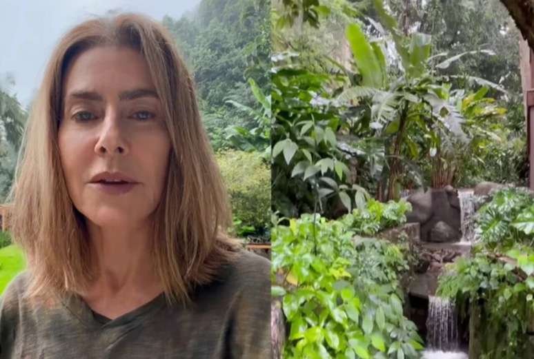 Nos registros de v&iacute;deo, a vida no s&iacute;tio de Mait&ecirc; Proen&ccedil;a aparece sob um clima chuvoso, comum nesta &eacute;poca do ano na Regi&atilde;o Serrana do Rio &ndash; Reprodu&ccedil;&atilde;o/Instagram