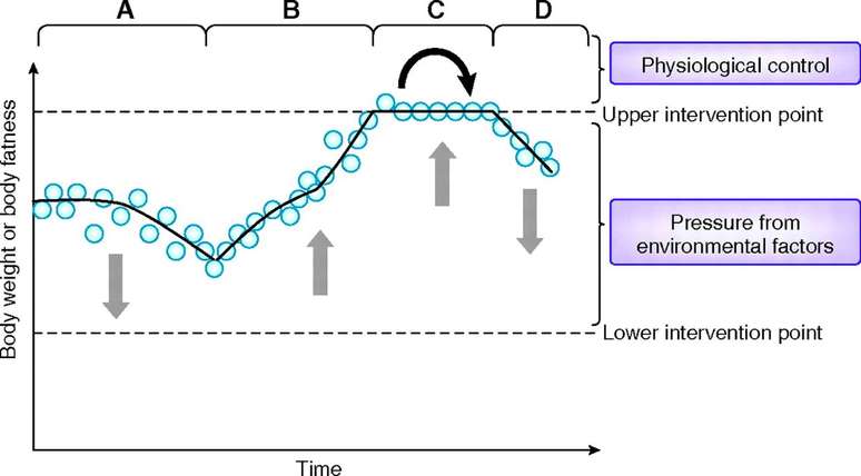 Gr&aacute;fico de linhas representando o peso corporal ou a gordura corporal (eixo y) ao longo do tempo (eixo x)
