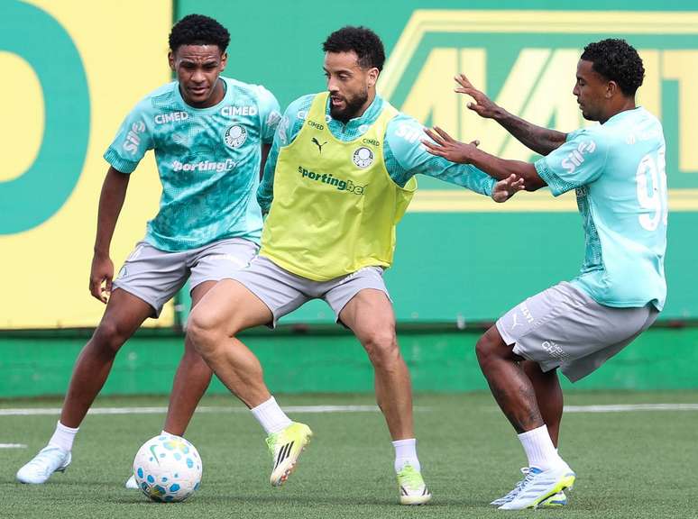Palmeiras se prepara para mais uma rodada do Campeonato Brasileiro &ndash;