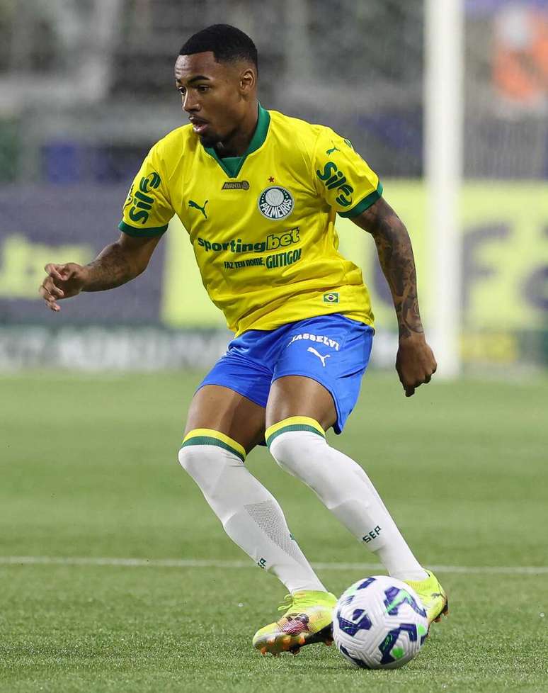 Allan, do Palmeiras, foi para o vesti&aacute;rio mais cedo por causa do vermelho &ndash;