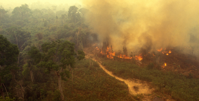 Temperaturas elevadas abrem brecha para inc&ecirc;ndios florestais 