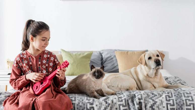 Em abrigos e cl&iacute;nicas veterin&aacute;rias, o uso planejado de m&uacute;sica tem sido estudado como ferramenta complementar para melhorar o bem-estar animal &ndash; depositphotos.com / IgorVetushko
