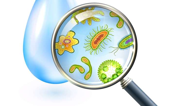 Autoridades sanit&aacute;rias utilizam par&acirc;metros f&iacute;sicos, qu&iacute;micos e microbiol&oacute;gicos para avaliar se a &aacute;gua est&aacute; adequada para consumo &ndash; depositphotos.com / Freepik Company SL