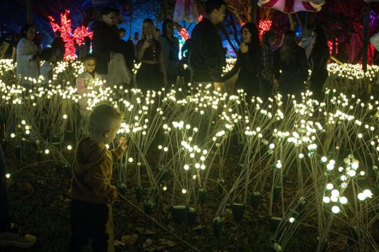 Crian&ccedil;as ficam encantadas com luzes e cores da exposi&ccedil;&atilde;o.