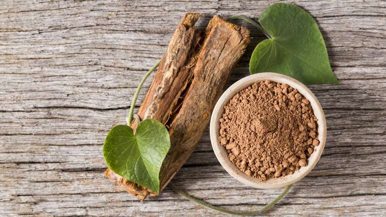 A natureza continua surpreendendo: mitrafilina une bioengenharia, gen&eacute;tica vegetal e oncologia &ndash; depositphotos.com / CUNDO