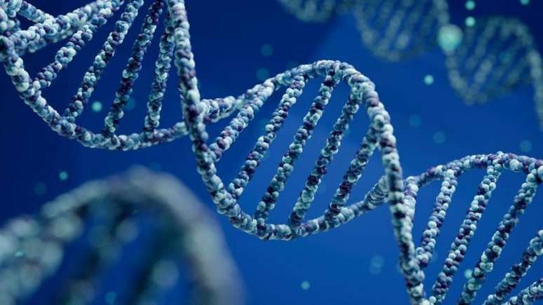 A convers&atilde;o gen&eacute;tica &eacute; frequentemente descrita como uma esp&eacute;cie de mecanismo 'copia e cola', que passa a informa&ccedil;&atilde;o de uma vers&atilde;o de um gene para outra