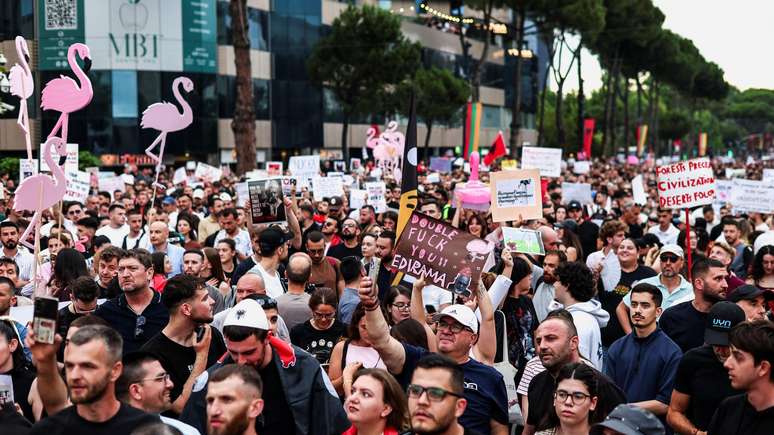 O flamingo rosa se tornou um s&iacute;mbolo dos recentes protestos contra os empreendimentos tur&iacute;sticos de luxo