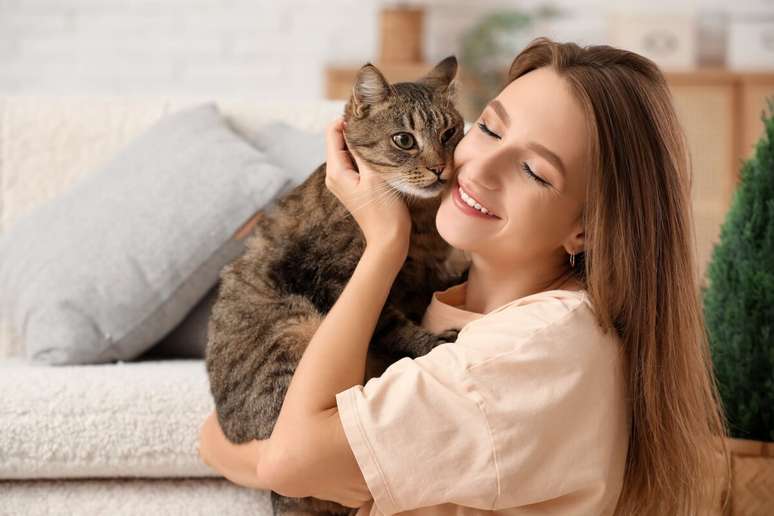 Falar baixo, respeitar o espa&ccedil;o do gato e evitar movimentos bruscos s&atilde;o atitudes simples que ajudam a construir confian&ccedil;a 