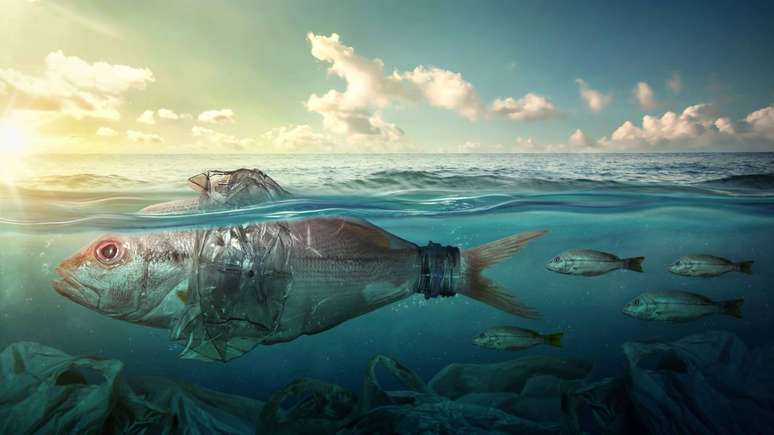 Os efeitos da polui&ccedil;&atilde;o nos mares sobre a fauna s&atilde;o diversos. A ingest&atilde;o de objetos volumosos pode causar obstru&ccedil;&atilde;o do trato digestivo, impedindo a passagem de alimento &ndash; depositphotos.com / chaiyapruek