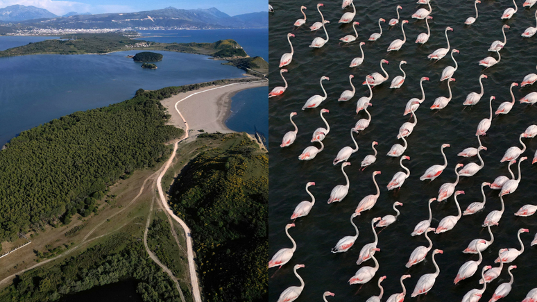 Ecologistas alertam que os empreendimentos poderiam causar danos irrevers&iacute;veis &agrave;s zonas de Vjosa-Narta e &agrave;s esp&eacute;cies que dependem delas