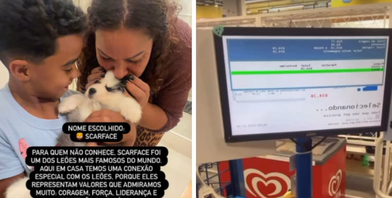Cachorrinho Scarface &eacute; o novo integrante da fam&iacute;lia