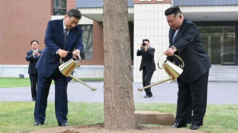 Xi Jinping e Kim Jong-un plantaram um abeto, um tipo de pinheiro, como s&iacute;mbolo da amizade duradoura entre os dois pa&iacute;ses