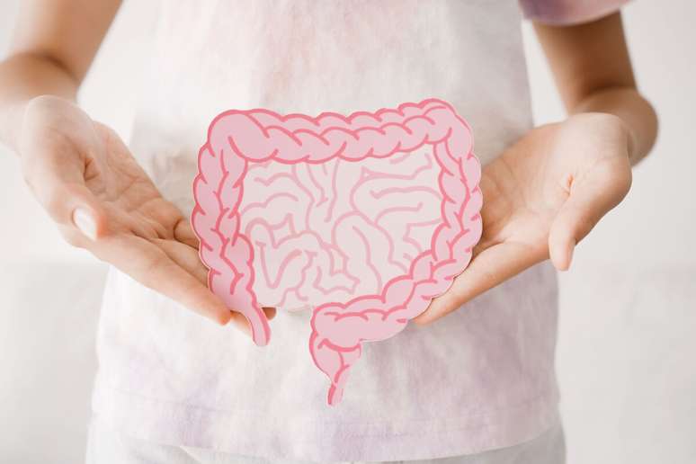 Altera&ccedil;&otilde;es na microbiota intestinal podem impactar diversas fun&ccedil;&otilde;es do organismo, prejudicando o emagrecimento 