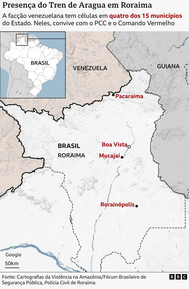 Mapa da presen&ccedil;a do TDA em Roraima