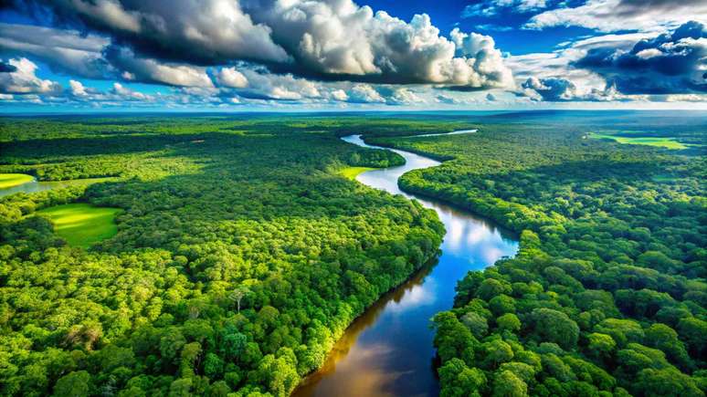imagem de drone da exuberante floresta amaz&ocirc;nica, rio correndo entre as &aacute;rvores, c&eacute;u azul