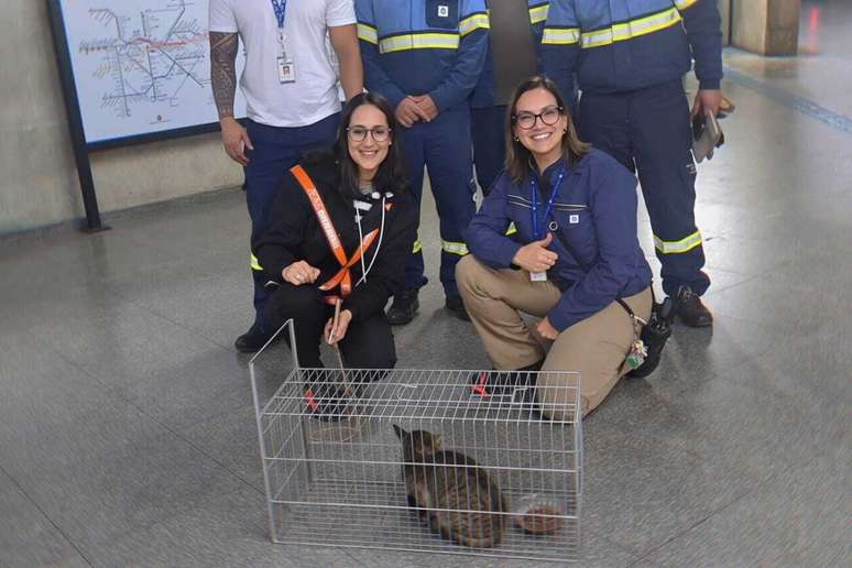 Funcion&aacute;rios do Metr&ocirc; posam com o gato resgatado