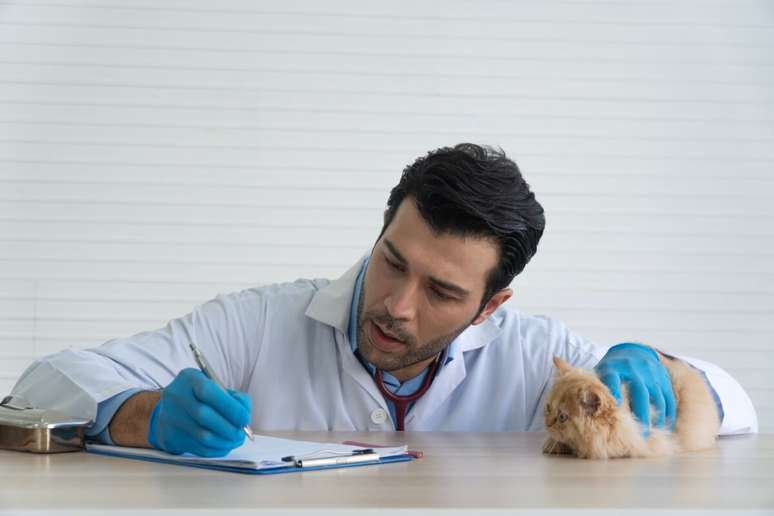 Veterin&aacute;rio fazendo carinho em um gato e escrevendo em papel