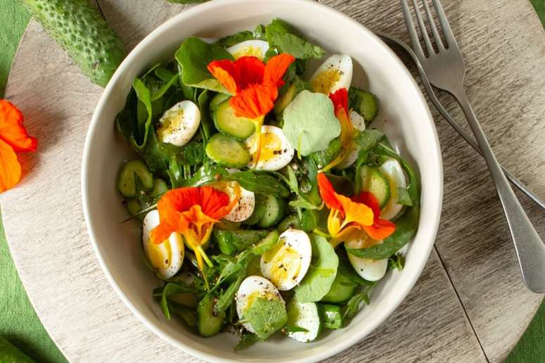 A imagem mostra uma salada fresca e colorida servida em uma tigela branca. Entre os ingredientes, destacam-se ovos cozidos cortados ao meio, fatias de pepino e diversas folhas verdes, que parecem incluir r&uacute;cula e outras folhas delicadas.