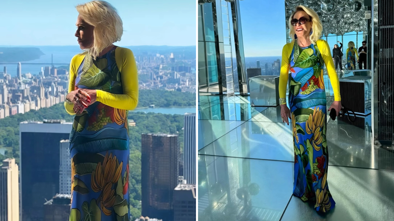 Ana Maria Braga 