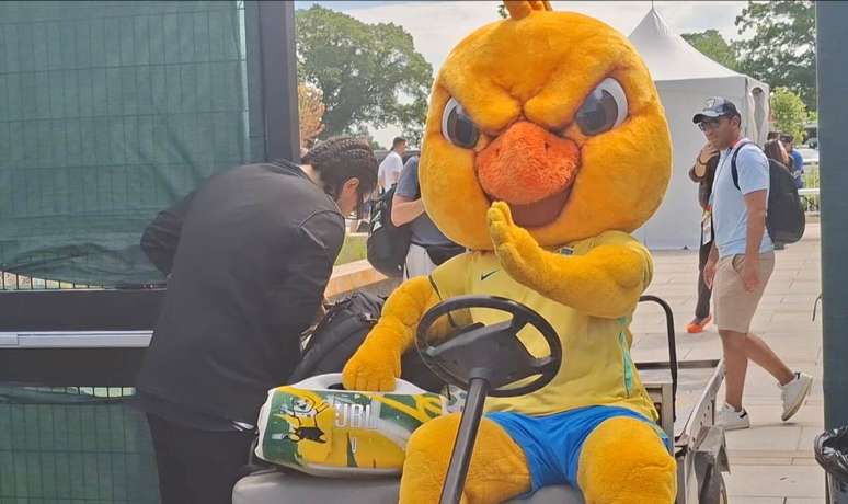 Canarinho rouba a cena em treino do Brasil &ndash;
