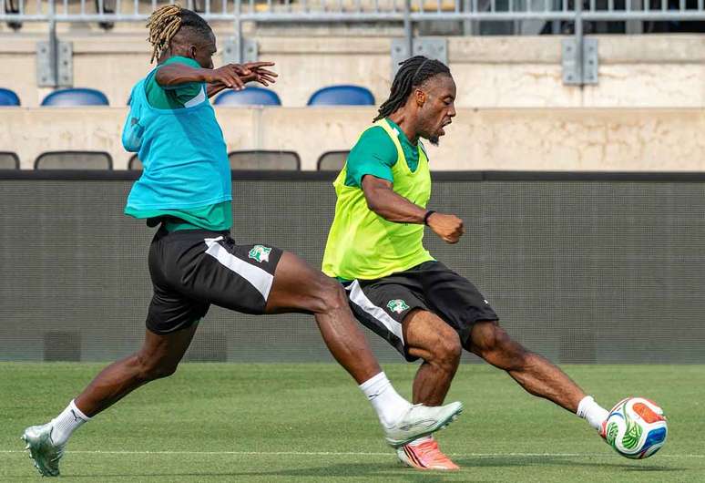 Elefantes buscam feito in&eacute;dito no Mundial &ndash;