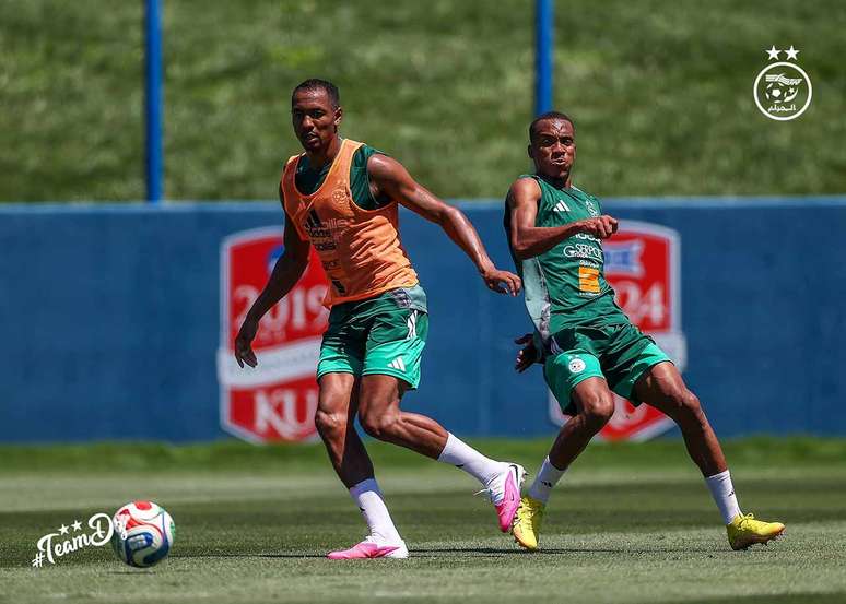 Raposas n&atilde;o disputam a Copa desde 2014 &ndash;
