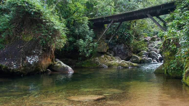 Quem disp&otilde;e de mais dias consegue combinar diferentes experi&ecirc;ncias em Itatiaia, alternando trilhas exigentes com passeios curtos._depositphotos.com / brizardh