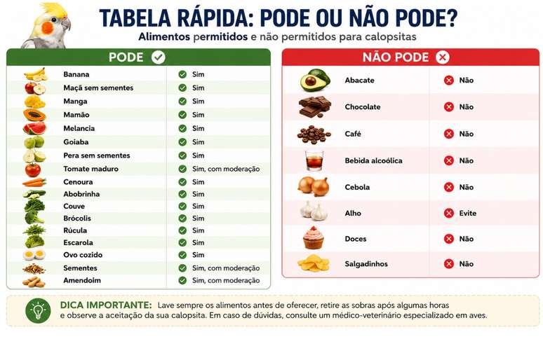 O que calopsita pode comer
