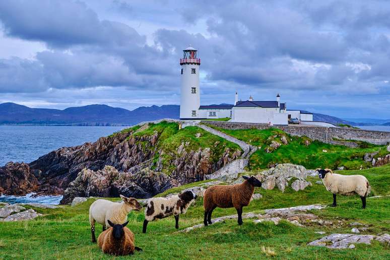 A tradi&ccedil;&atilde;o irlandesa de neutralidade tamb&eacute;m contribui para essa sensa&ccedil;&atilde;o de paz em escala internacional, j&aacute; que o pa&iacute;s n&atilde;o participa de guerras estrangeiras nem de alian&ccedil;as militares