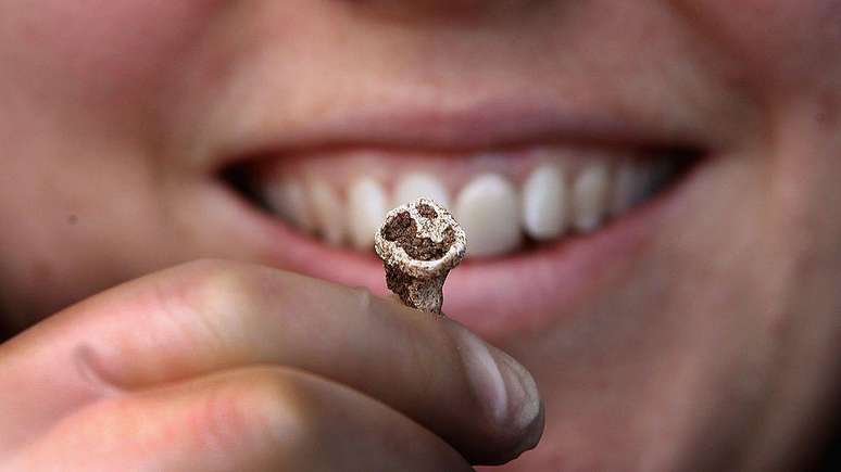 Os dentes dos vikings foram fundamentais para que tiv&eacute;ssemos acesso ao seu DNA