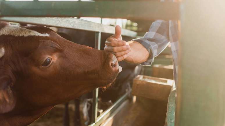 Autoridades de sa&uacute;de animal e humana passam a contar com informa&ccedil;&otilde;es mais detalhadas para avaliar riscos._depositphotos.com / AndrewLozovyi