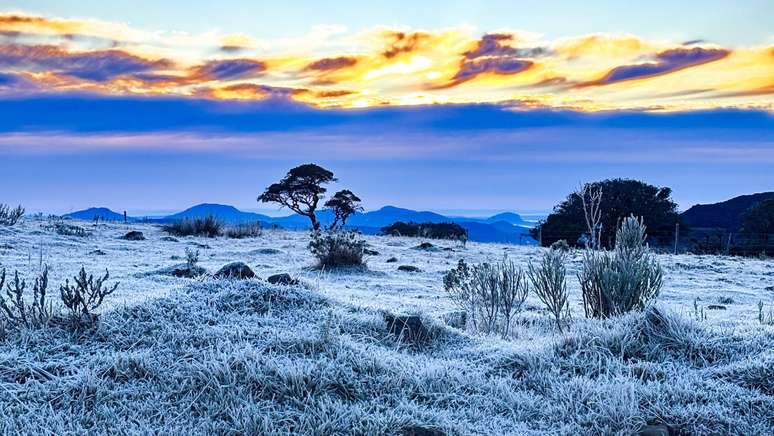Frio em Urupema, Santa Catarina, registrado por morador nesta quarta-feira, 24