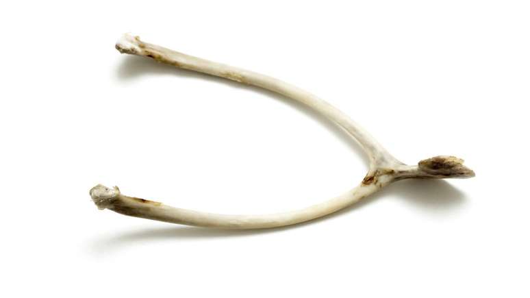 A origem do wishbone remonta &agrave;s antigas civiliza&ccedil;&otilde;es do Mediterr&acirc;neo, onde se associavam aves &agrave; adivinha&ccedil;&atilde;o &ndash; depositphotos.com / kzwwsko