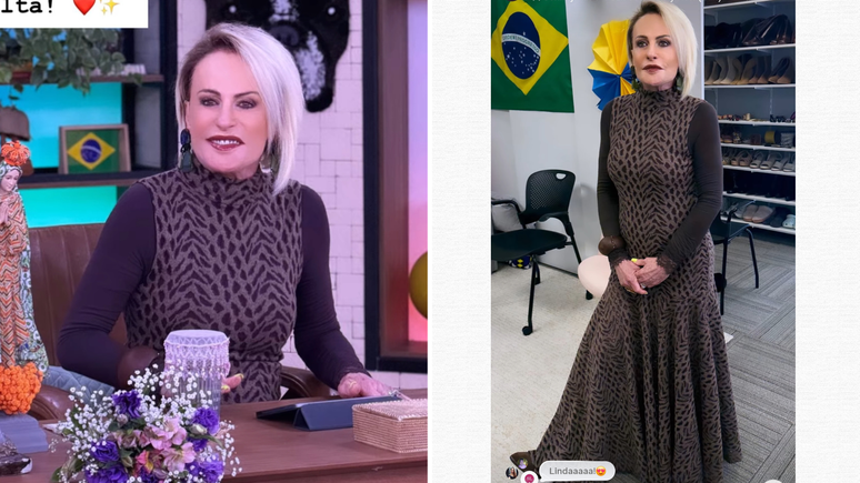 Ana Maria Braga 