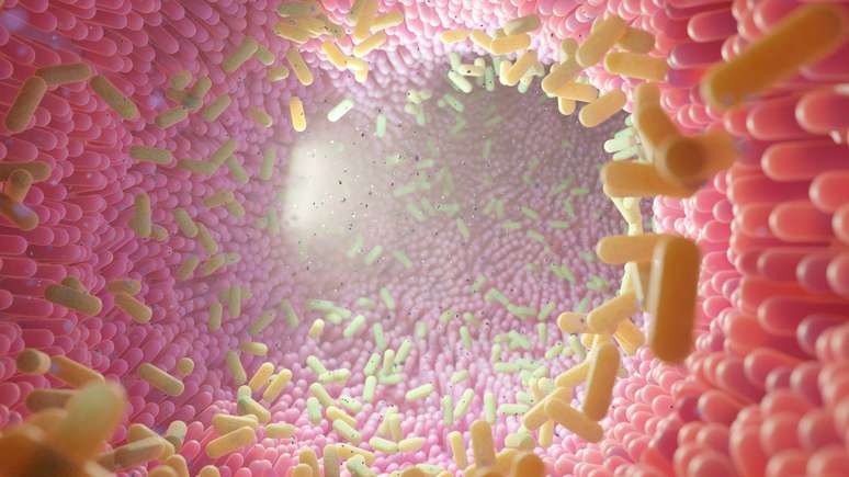 Os cientistas acreditam que a microbiota intestinal possa influenciar nosso comportamento, incluindo as intera&ccedil;&otilde;es sociais.