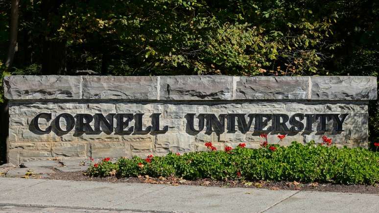 Cornell Univeristy desenvolveu m&eacute;todo peculiar de estudo &ndash; depositphotos.com / haveseen