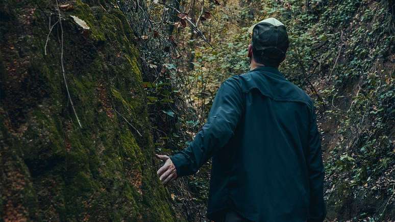 Uma caminhada na natureza pode libertar as algemas do seu pensamento, revelando sua criatividade
