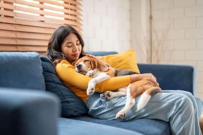 Durante a velhice, alguns c&atilde;es podem se tornar mais sens&iacute;veis 