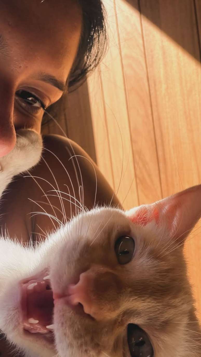 Photo by BOIADEIRA &reg; on June 30, 2026. May be an image of kitten and text.