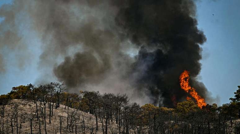 Inc&ecirc;ndio florestal avan&ccedil;a em H&eacute;rault, no sul da Fran&ccedil;a; focos de fogo que atingem o sul da Europa j&aacute; provocaram evacua&ccedil;&otilde;es e levaram autoridades francesas a proibir a presen&ccedil;a de p&uacute;blico em trecho do Tour de France nesta segunda-feira (6).