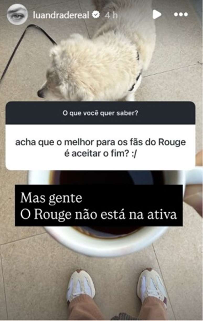 Foto: Instagram/@luandradereal