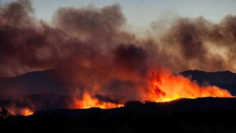 Um inc&ecirc;ndio florestal no departamento de Pyr&eacute;n&eacute;es-Orientales, no sul da Fran&ccedil;a, em 5 de julho de 2026.