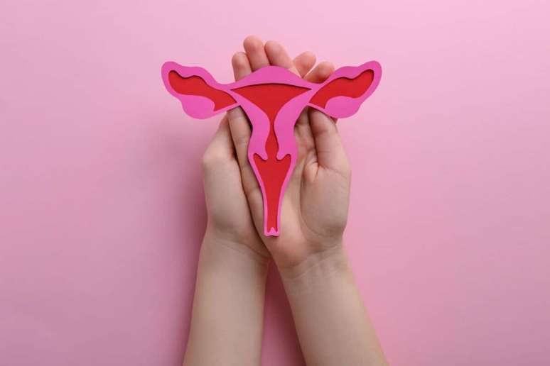 Al&eacute;m da prote&ccedil;&atilde;o contra infec&ccedil;&otilde;es, esses microrganismos podem influenciar a fertilidade, a gesta&ccedil;&atilde;o e a sa&uacute;de ginecol&oacute;gica 