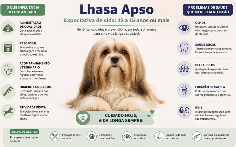Lhasa Apso 2 תוחלת חיים ממוצעת