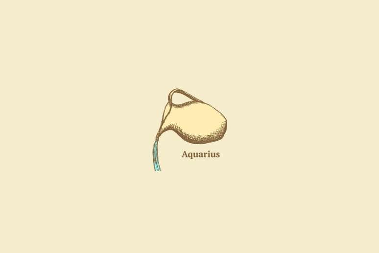 Os aquarianos poder&atilde;o contar com planejamento e objetividade em diversos setores da vida 