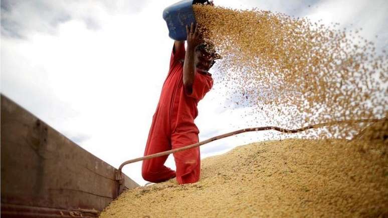 Trabalhador manuseando gr&atilde;os de soja na carreta de um caminh&atilde;o sojeiro com o aux&iacute;lio de um balde
