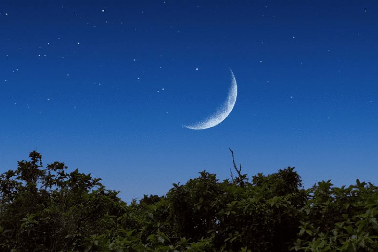 A gravidade da Lua influencia os oceanos durante todas as fases do ciclo lunar 