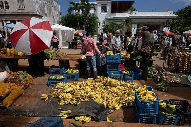 Cuba enfrenta um grave decl&iacute;nio da produ&ccedil;&atilde;o agropecu&aacute;ria, o que obriga o pa&iacute;s a importar entre 70% e 80% dos alimentos consumidos pela popula&ccedil;&atilde;o, segundo dados do Programa Mundial de Alimentos (PMA) da ONU