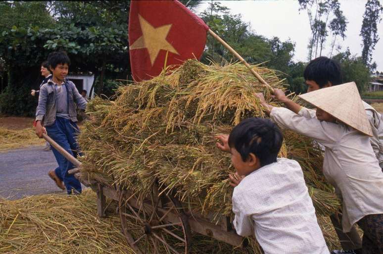 O desenvolvimento econ&ocirc;mico do Vietn&atilde; se apoiou, inicialmente, em uma ampla popula&ccedil;&atilde;o rural e em uma m&atilde;o de obra jovem, abundante e barata