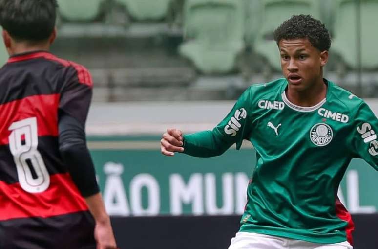 Palmeiras n&atilde;o teve boa atua&ccedil;&atilde;o diante do Flamengo &ndash;